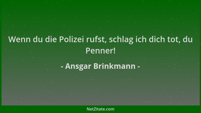 Ansgar Brinkmann - Wenn du die Polizei rufst, schlag ich dich tot, du Penner!...