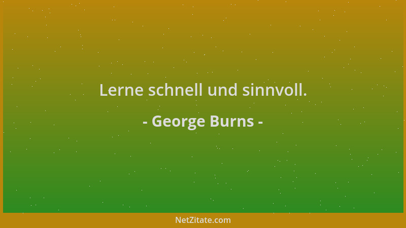 George Burns - Lerne schnell und sinnvoll....