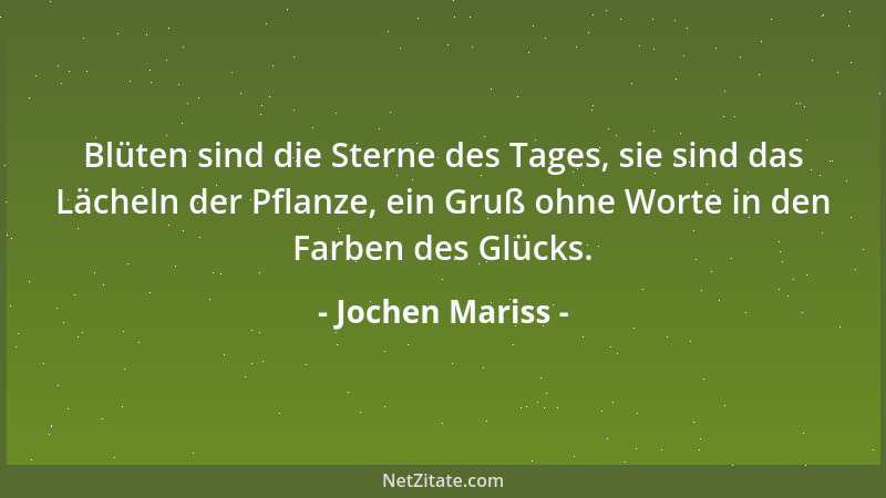 Jochen Mariss - Blüten sind die Sterne des Tages, sie sind das Lächeln der Pflanze, ein Gruß ohne Worte in den Farben des G...