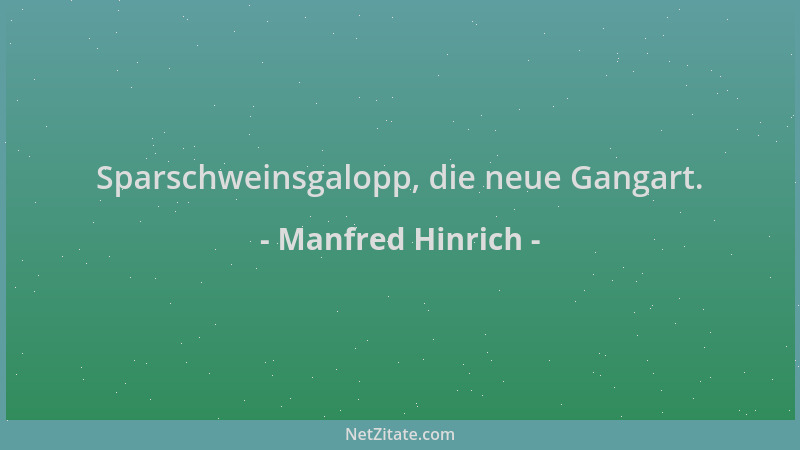Manfred Hinrich - Sparschweinsgalopp, die neue Gangart....
