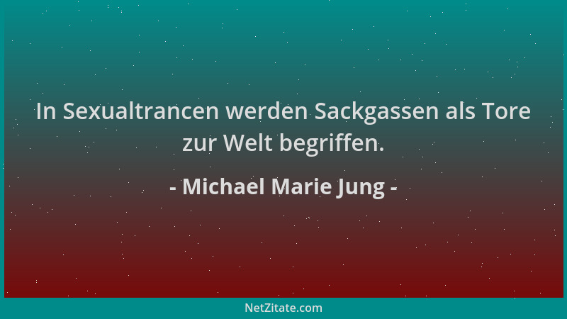 Michael Marie Jung - In Sexualtrancen werden Sackgassen als Tore zur Welt begriffen....