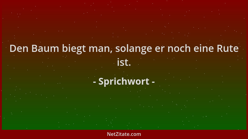 Sprichwort - Den Baum biegt man, solange er noch eine Rute ist....