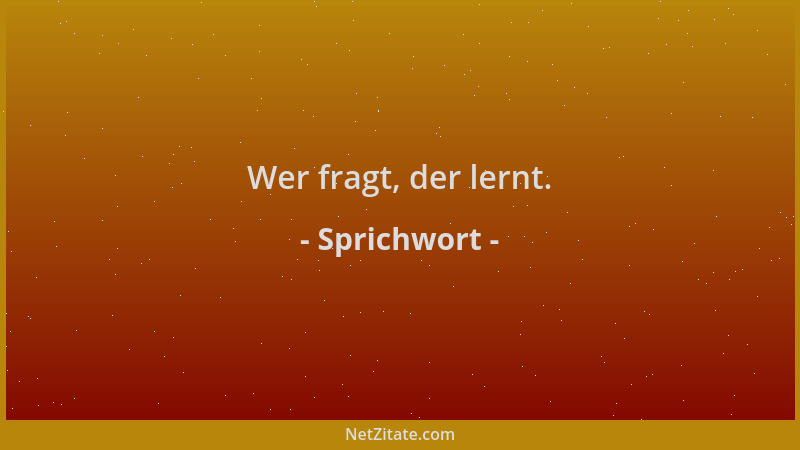 Sprichwort - Wer fragt, der lernt....
