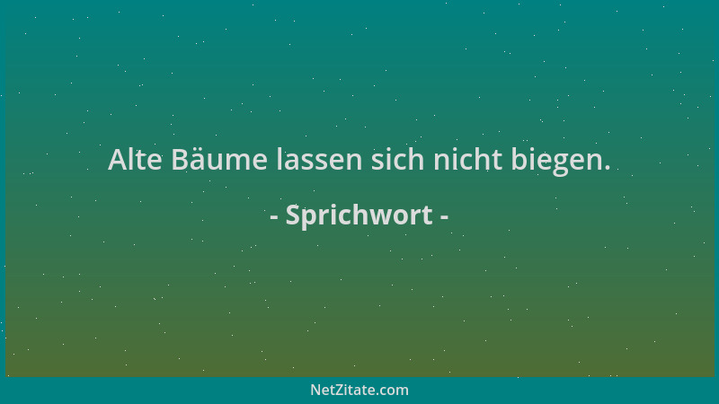 Sprichwort - Alte Bäume lassen sich nicht biegen....