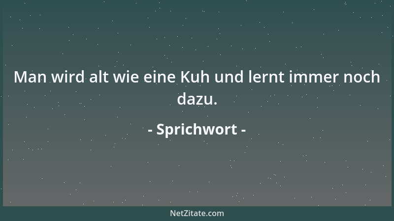 Sprichwort - Wenn du unter Fremden bist, singe nicht allein, sondern mit im Chor....
