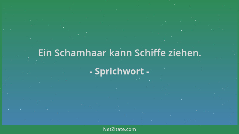 Sprichwort - Ein Schamhaar kann Schiffe ziehen....