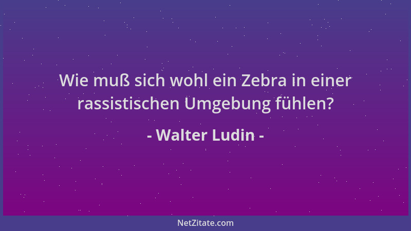 Walter Ludin - Wie muß sich wohl ein Zebra in einer rassistischen Umgebung fühlen?...