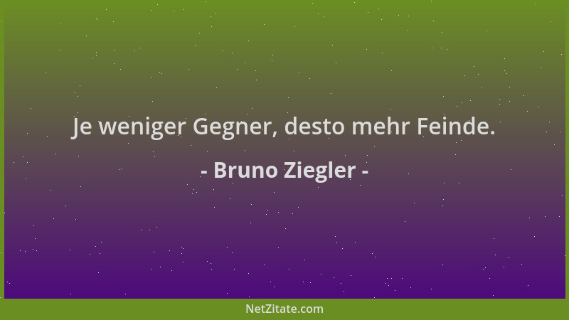 Bruno Ziegler - Je weniger Gegner, desto mehr Feinde....