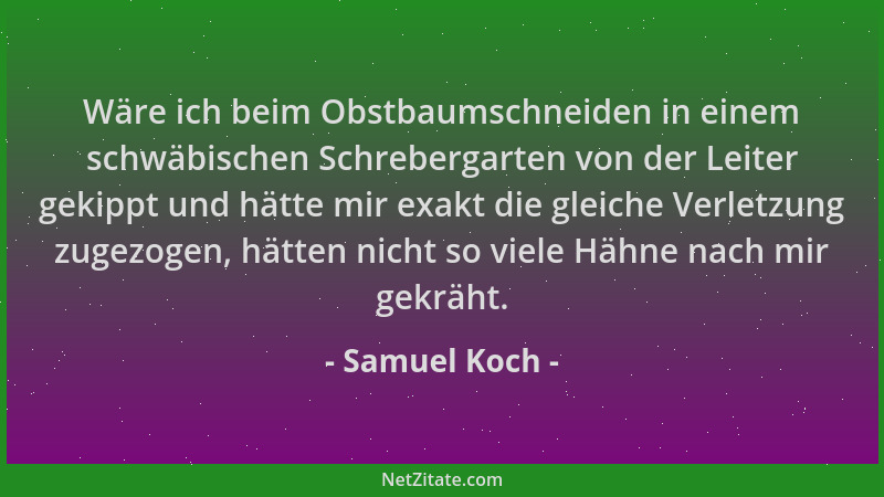 Samuel Koch - Wäre ich beim Obstbaumschneiden in einem schwäbischen Schrebergarten von der Leiter gekippt und hätte mir exa...