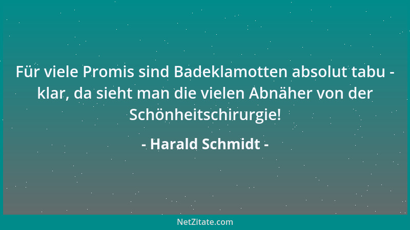 Harald Schmidt - Für viele Promis sind Badeklamotten absolut tabu - klar, da sieht man die vielen Abnäher von der Schönheit...