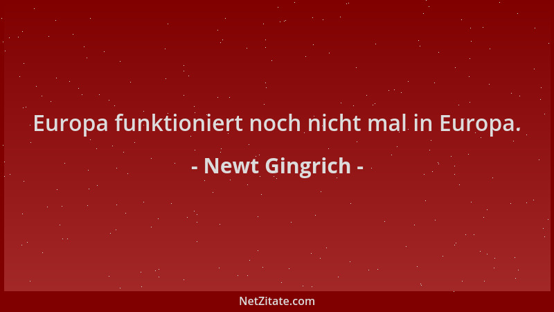 Newt Gingrich - Europa funktioniert noch nicht mal in Europa....