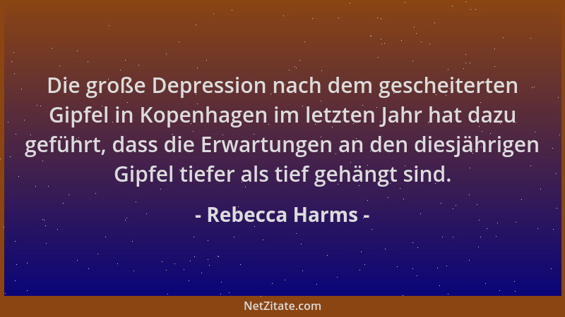 Rebecca Harms - Die große Depression nach dem gescheiterten Gipfel in Kopenhagen im letzten Jahr hat dazu geführt, dass die...