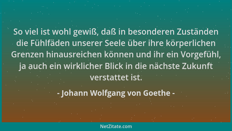 Johann Wolfgang von Goethe - So viel ist wohl gewiß, daß in besonderen Zuständen die Fühlfäden unserer Seele über ihre körp...