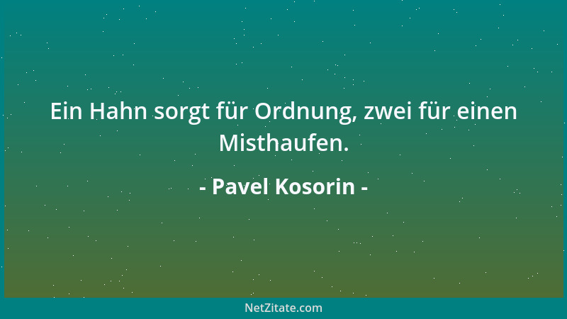 Pavel Kosorin - Ein Hahn sorgt für Ordnung, zwei für einen Misthaufen....
