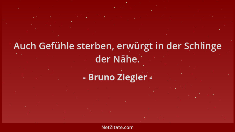 Bruno Ziegler - Auch Gefühle sterben, erwürgt in der Schlinge der Nähe....