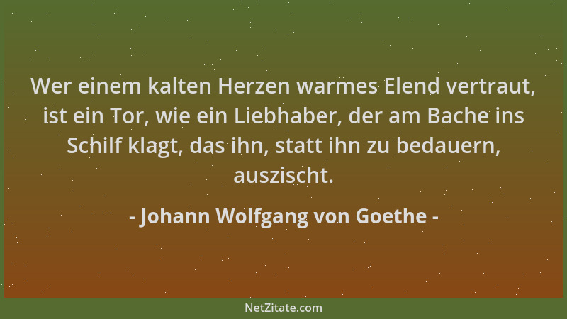 Johann Wolfgang von Goethe - Wer einem kalten Herzen warmes Elend vertraut, ist ein Tor, wie ein Liebhaber, der am Bache in...