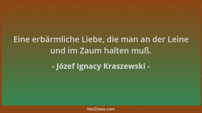 Józef Ignacy Kraszewski - Eine erbärmliche Liebe, die man an der Leine und im Zaum halten muß....