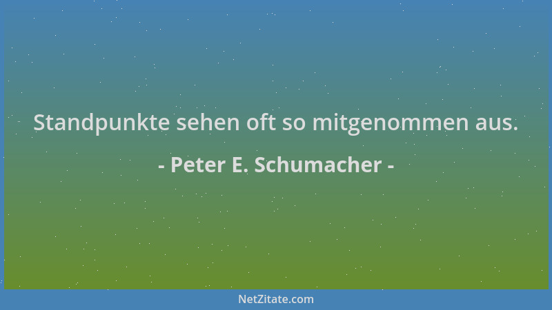 Peter E. Schumacher - Standpunkte sehen oft so mitgenommen aus....