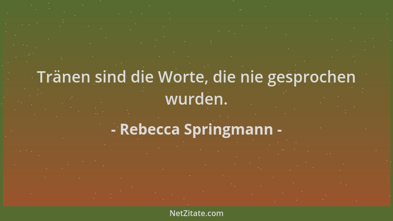 Rebecca Springmann - Tränen sind die Worte, die nie gesprochen wurden....