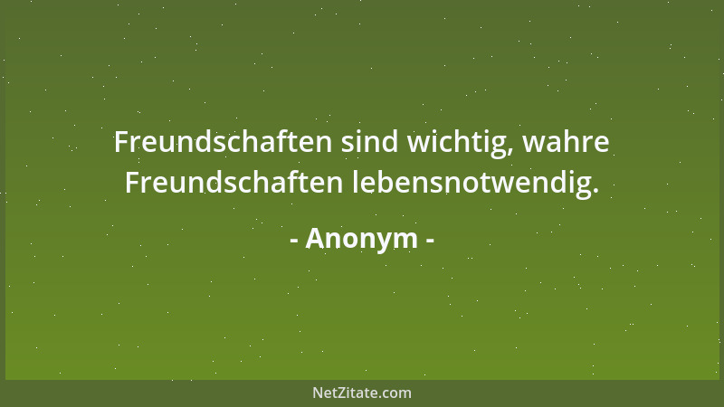 Anonym - Freundschaften sind wichtig, wahre Freundschaften lebensnotwendig....