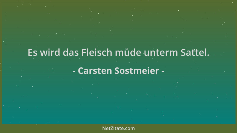 Carsten Sostmeier - Es wird das Fleisch müde unterm Sattel....