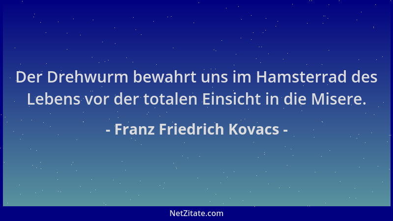 Franz Friedrich Kovacs - Der Drehwurm bewahrt uns im Hamsterrad des Lebens vor der totalen Einsicht in die Misere....