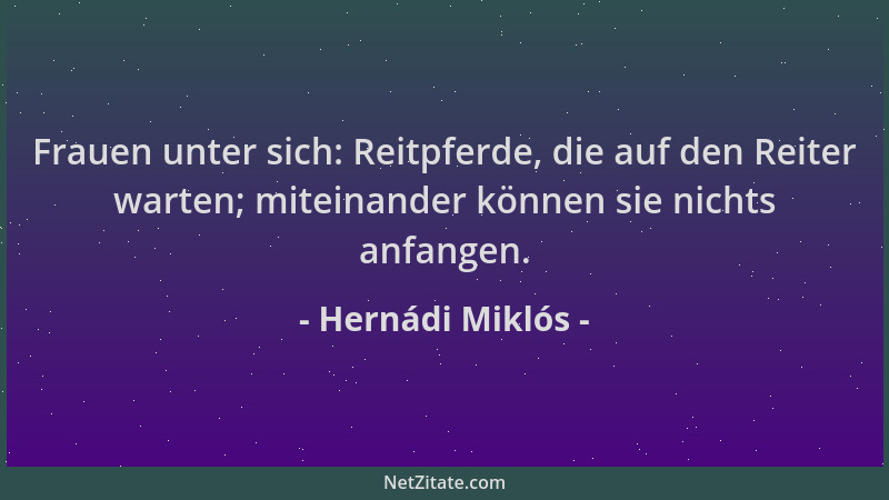 Hernádi Miklós - Frauen unter sich: Reitpferde, die auf den Reiter warten; miteinander können sie nichts anfangen....
