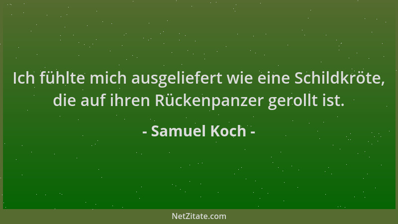 Samuel Koch - Ich fühlte mich ausgeliefert wie eine Schildkröte, die auf ihren Rückenpanzer gerollt ist....