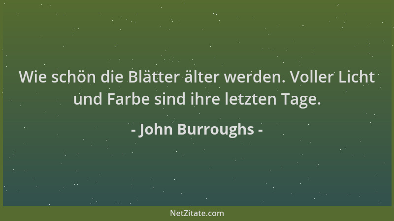 John Burroughs - Wie schön die Blätter älter werden. Voller Licht und Farbe sind ihre letzten Tage....