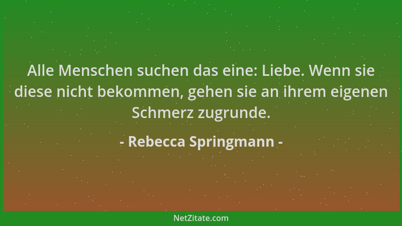 Rebecca Springmann - Alle Menschen suchen das eine: Liebe. Wenn sie diese nicht bekommen, gehen sie an ihrem eigenen Schmer...