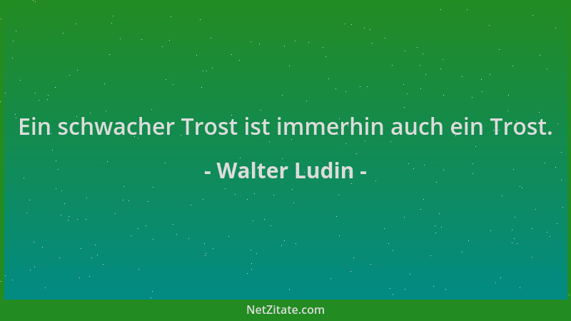 Walter Ludin - Ein schwacher Trost ist immerhin auch ein Trost....