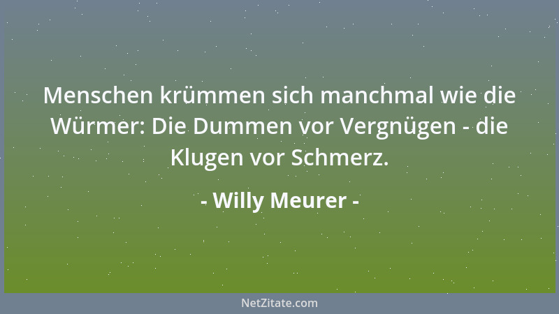 Willy Meurer - Ist es nicht ironisch? Immer dann, wenn man meint, den Sinn des Lebens gefunden zu haben, ändern andere die...