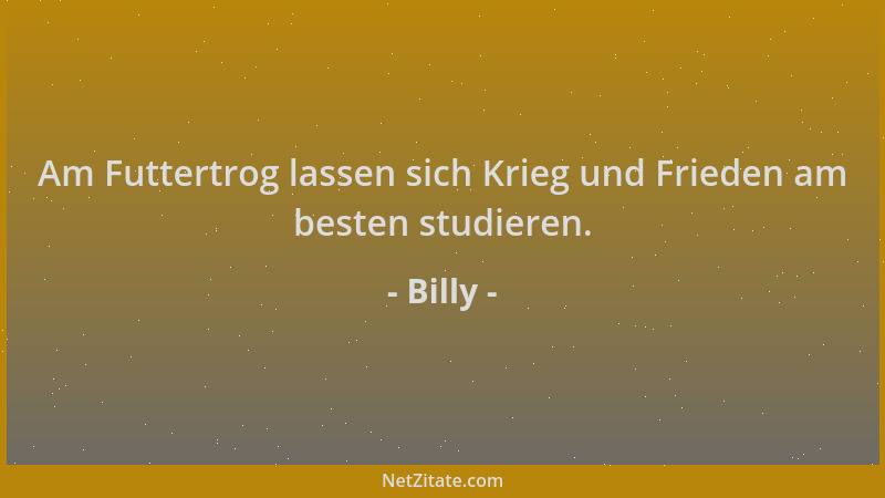 Billy - Am Futtertrog lassen sich Krieg und Frieden am besten studieren....