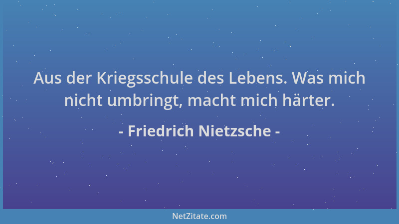 Friedrich Nietzsche - Aus der Kriegsschule des Lebens. Was mich nicht umbringt, macht mich härter....