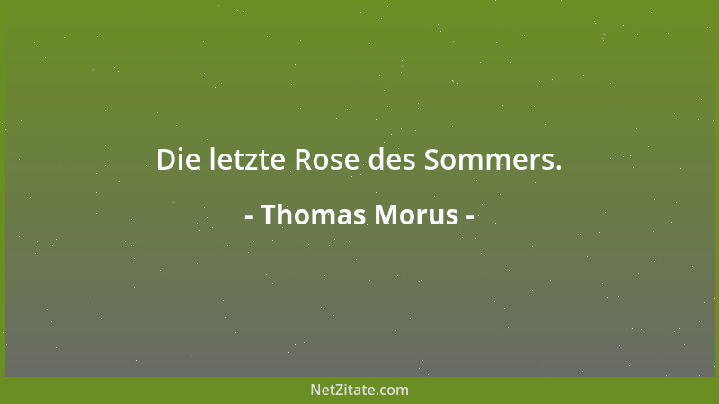 Thomas Morus - Die letzte Rose des Sommers....