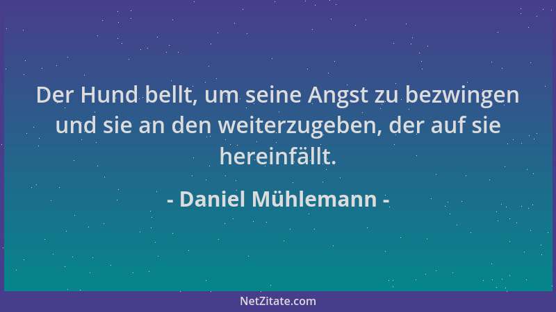 Daniel Mühlemann - Der Hund bellt, um seine Angst zu bezwingen und sie an den weiterzugeben, der auf sie hereinfällt....