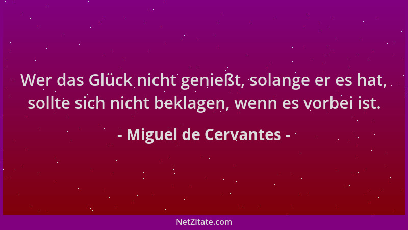 Miguel de Cervantes - Wer das Glück nicht genießt, solange er es hat, sollte sich nicht beklagen, wenn es vorbei ist....