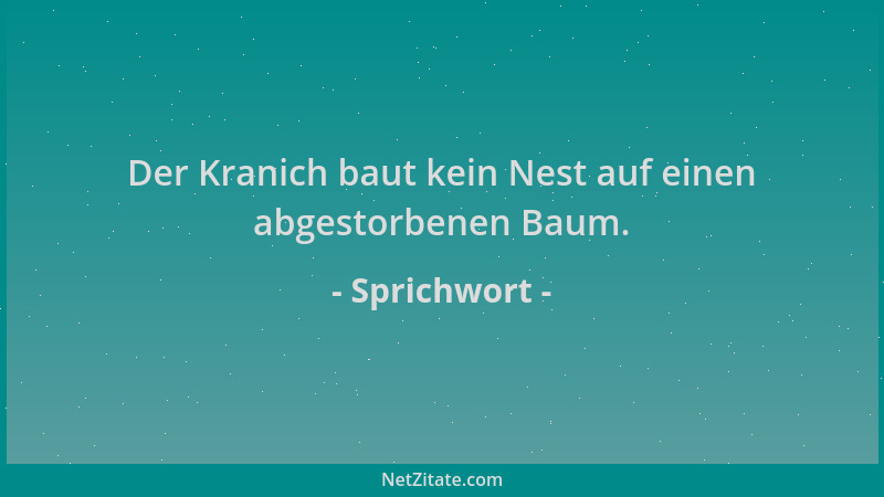 Sprichwort - Der Kranich baut kein Nest auf einen abgestorbenen Baum....