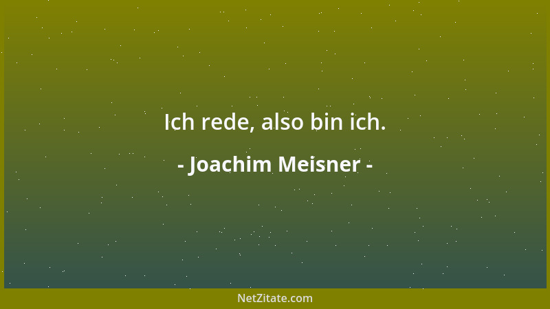 Joachim Meisner - Ich rede, also bin ich....