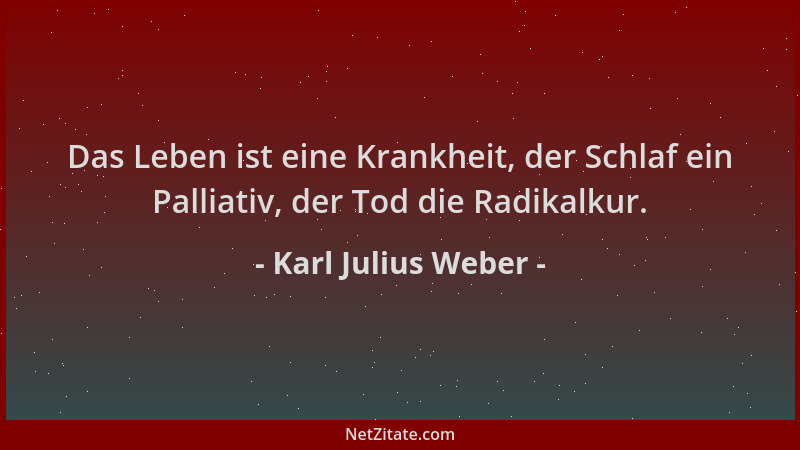 Karl Julius Weber - Das Leben ist eine Krankheit, der Schlaf ein Palliativ, der Tod die Radikalkur....