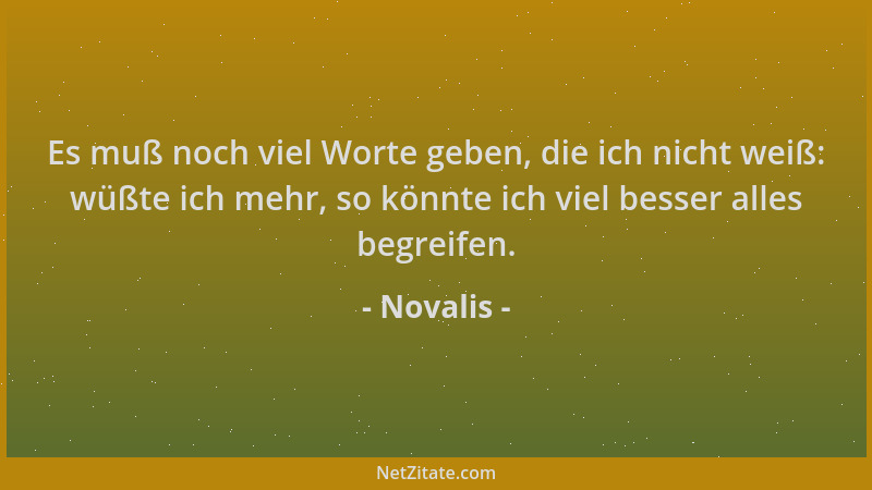 Novalis - Es muß noch viel Worte geben, die ich nicht weiß: wüßte ich mehr, so könnte ich viel besser alles begreifen....
