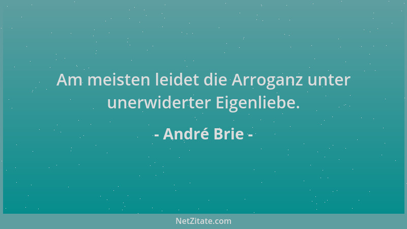 André Brie - Am meisten leidet die Arroganz unter unerwiderter Eigenliebe....