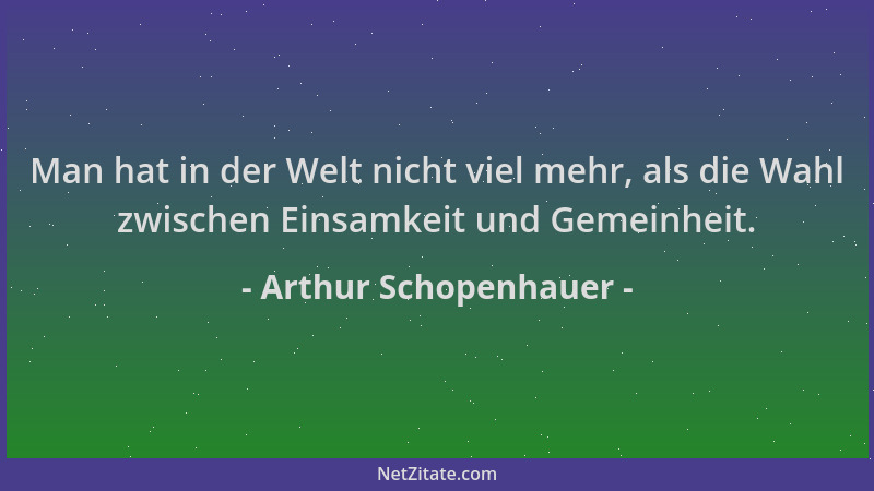 Arthur Schopenhauer - Man hat in der Welt nicht viel mehr, als die Wahl zwischen Einsamkeit und Gemeinheit....