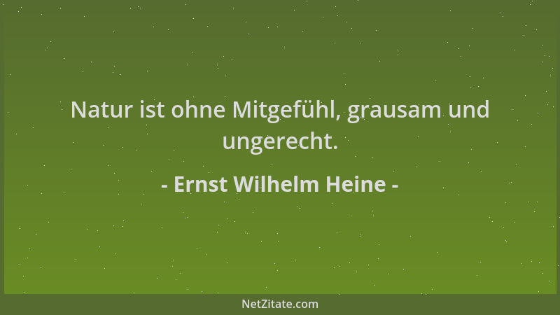 Ernst Wilhelm Heine - Natur ist ohne Mitgefühl, grausam und ungerecht....