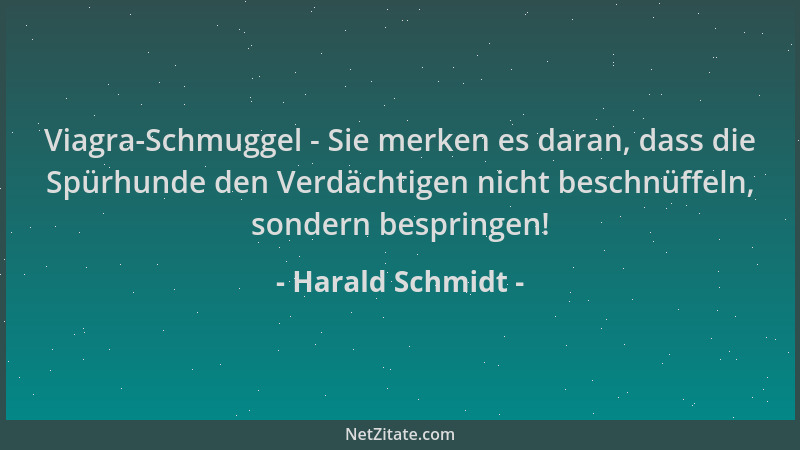 Harald Schmidt - Viagra-Schmuggel - Sie merken es daran, dass die Spürhunde den Verdächtigen nicht beschnüffeln, sondern be...