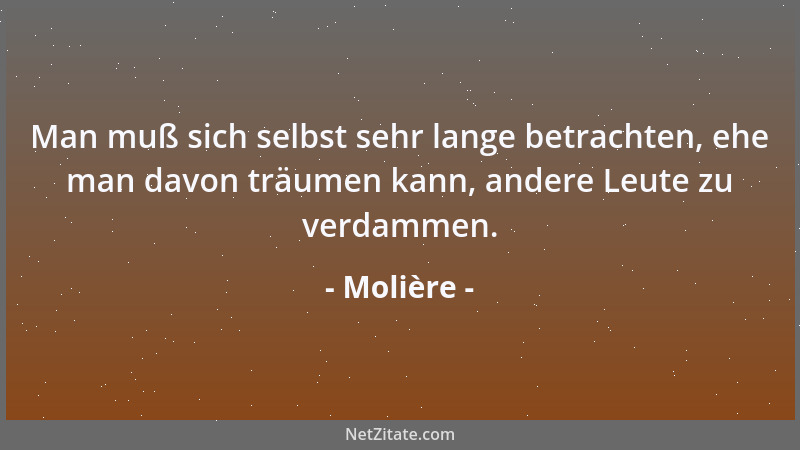 Molière - Man muß sich selbst sehr lange betrachten, ehe man davon träumen kann, andere Leute zu verdammen....