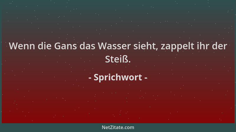 Sprichwort - Wenn die Gans das Wasser sieht, zappelt ihr der Steiß....