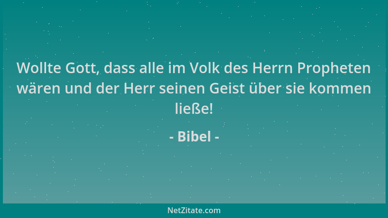 Bibel - Wollte Gott, dass alle im Volk des Herrn Propheten wären und der Herr seinen Geist über sie kommen ließe!...