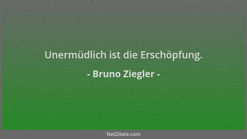 Bruno Ziegler - Unermüdlich ist die Erschöpfung....