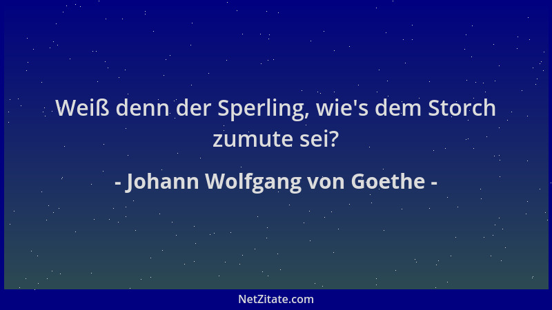 Johann Wolfgang von Goethe - Weiß denn der Sperling, wie 's dem Storch zumute sei?...